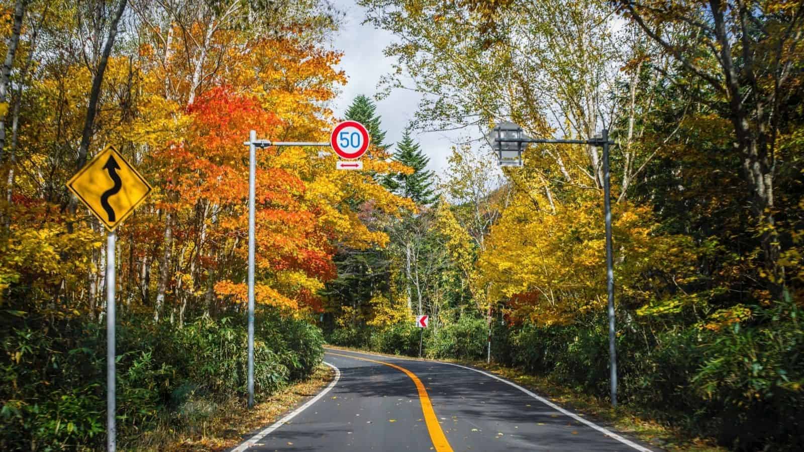 Curvy road lined with autumn trees, yellow and orange leaves, speed limit and winding road signs visible.