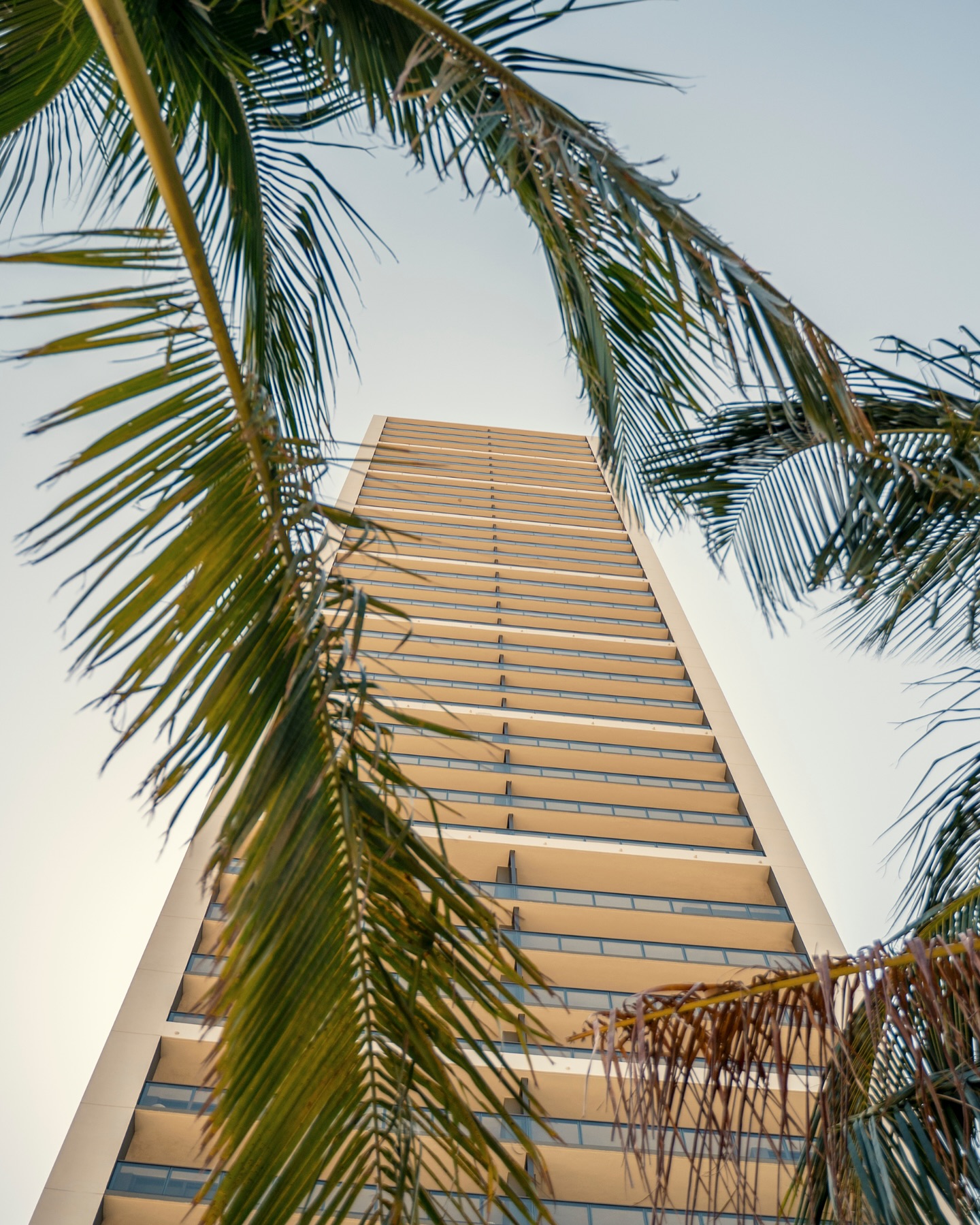 Tall building viewed from below, framed by palm tree leaves against a clear sky, reminiscent of the striking architecture highlighted in our Gale Miami Hotel & Residences Review.