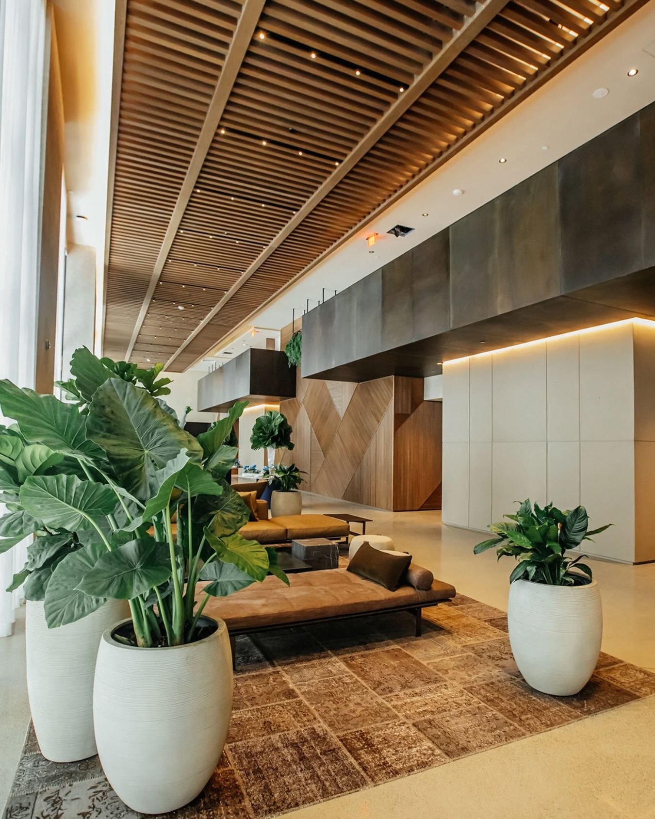 Modern lobby with large potted plants, wood ceiling, neutral seating, and soft natural light—features that stand out in any Gale Miami Hotel & Residences review.