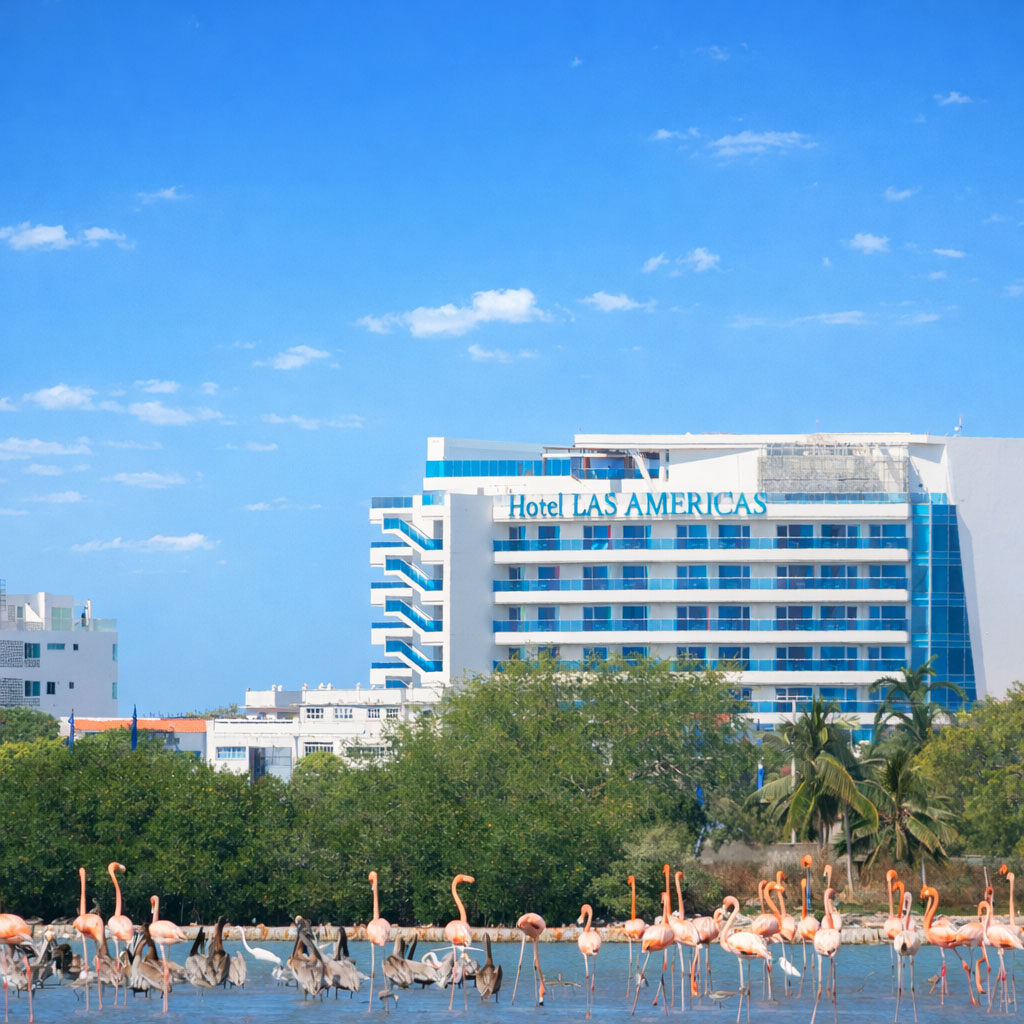 Flamingos wade in water with Hotel Las Americas and greenery in the background under a clear blue sky, making this serene spot one of the memorable things to do in Cartagena.